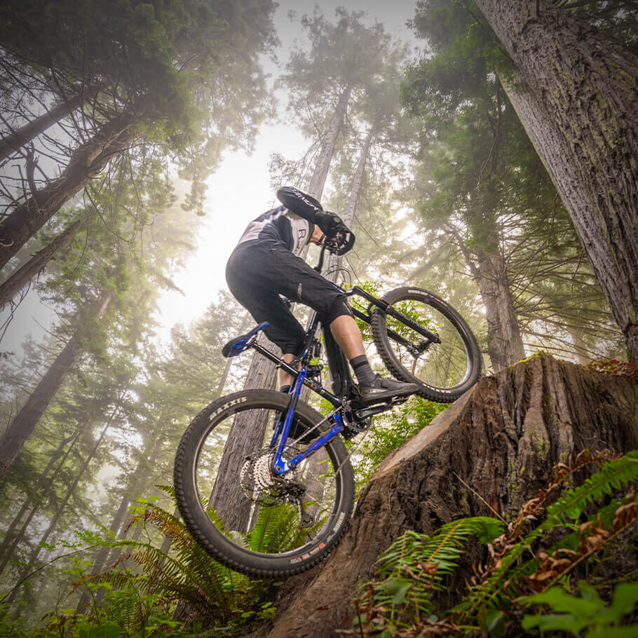 Yamaha Power Assist Bicycle YDX Moro 07 Blue L Deposit Quad Expert