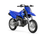 2025 TT R
