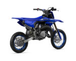 2026 YZ65