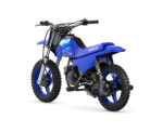 2027 PW50
