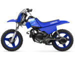 2027 PW50