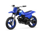 2027 PW50