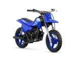 2027 PW50