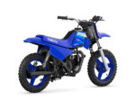 2027 PW50