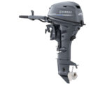 Yamaha F20 Portable