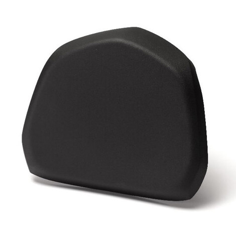 39L Top Case Passenger Backrest