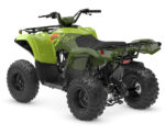 2026 Grizzly