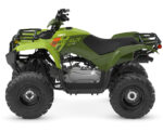 2026 Grizzly
