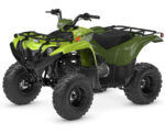 2026 Grizzly