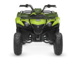 2026 Grizzly