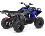 2026 Grizzly