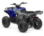 2026 Grizzly