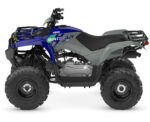 2026 Grizzly