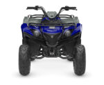 2026 Grizzly