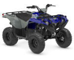 2026 Grizzly