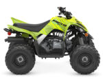2026 Raptor