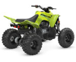 2026 Raptor