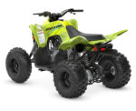 2026 Raptor