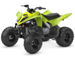 2026 Raptor