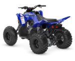 2026 Raptor