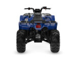 2026 Kodiak