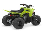 2026 YFZ50