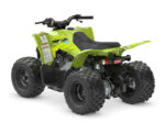 2026 YFZ50