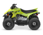 2026 YFZ50