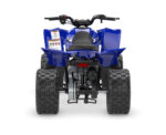2026 YFZ50