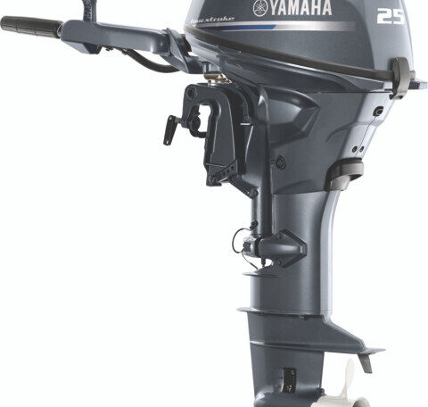 F25 port 3 4 Tiller Straight 480x600 1713795