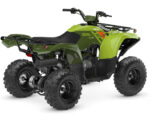 2026 Grizzly